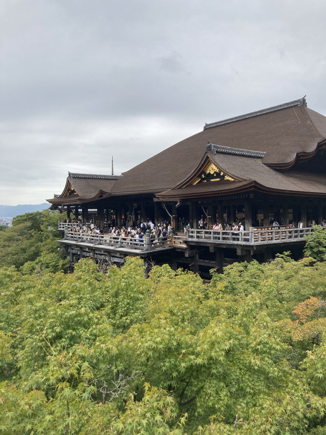 🇯🇵京都一日遊：靜靜感受古都的魅力⛩️