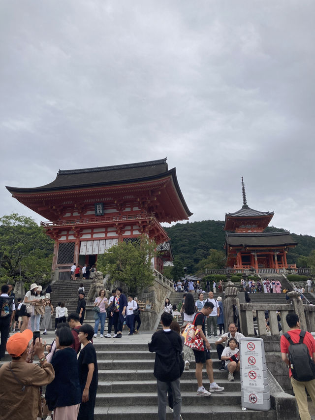 🇯🇵京都一日遊：靜靜感受古都的魅力⛩️
