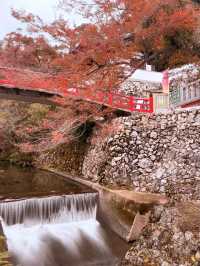大阪｜近郊的世外桃源-箕面公園 紅葉季還能嚐炸楓葉