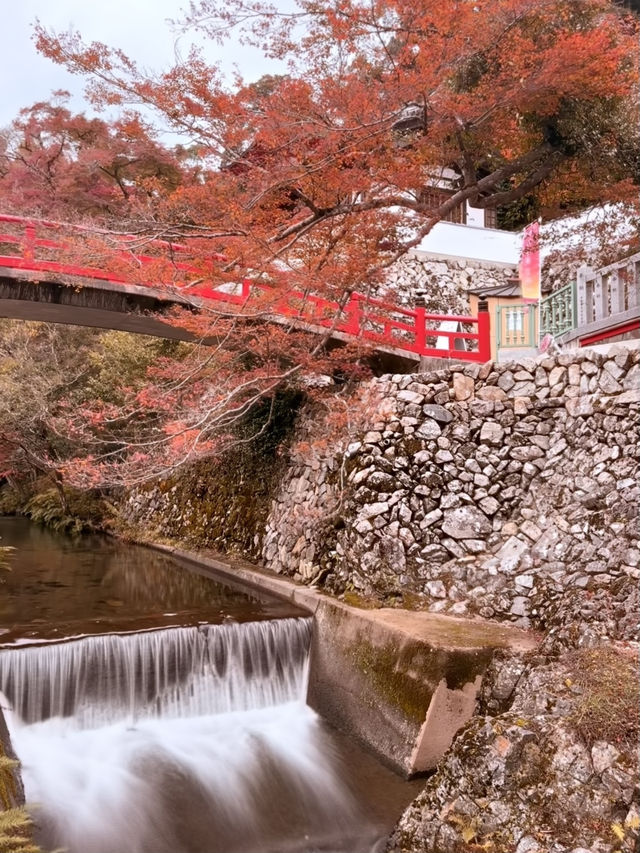 大阪｜近郊的世外桃源-箕面公園 紅葉季還能嚐炸楓葉