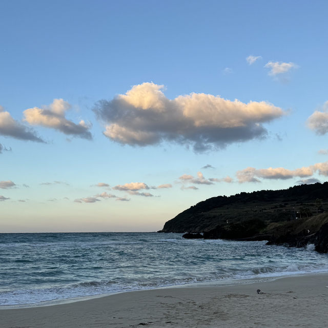제주 동쪽 에메랄드 바다와 푸르른 해변 추천 🏖️함덕해수욕장
