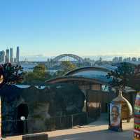 小朋友天地 - 塔龍加動物園 Taronga Zoo