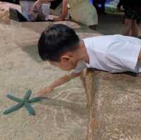 【 超夢幻非一般的海洋體驗 | DMM水族館 】