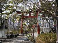 箱根神社，來感受古日本的風情！🇯🇵⛩️