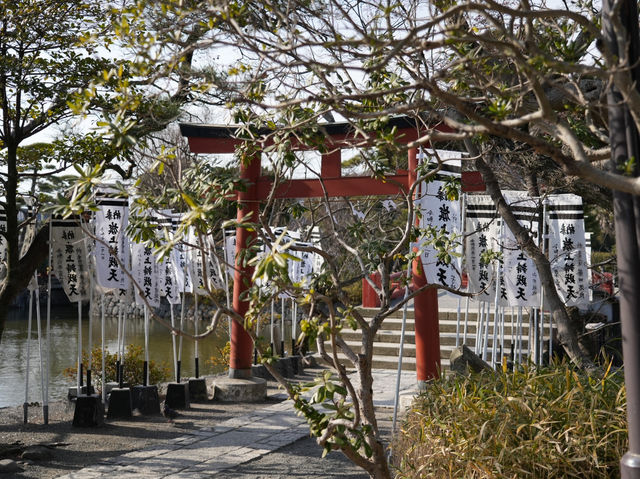 箱根神社，來感受古日本的風情！🇯🇵⛩️
