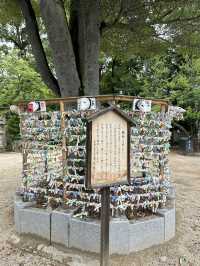 日本岡山-阿智神社：倉敷重要信仰，山上一飽倉敷市景