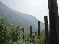 Wisdom in the Mountains: A Journey Through Hong Kong’s Quiet Gem