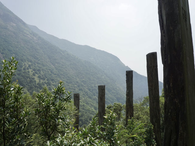 Wisdom in the Mountains: A Journey Through Hong Kong’s Quiet Gem