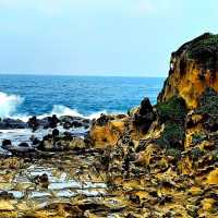 Taiwan’s Hidden Gems: Chasing Cherry Blossoms & Coastal Wonders