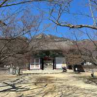 来蘇寺 