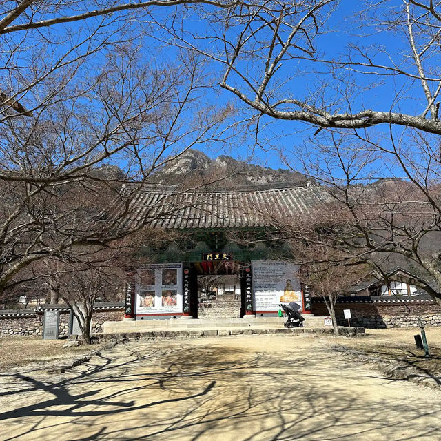 来蘇寺 