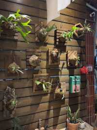 日日籽 Daily Seed Store：復古咖啡與雜貨的完美結合