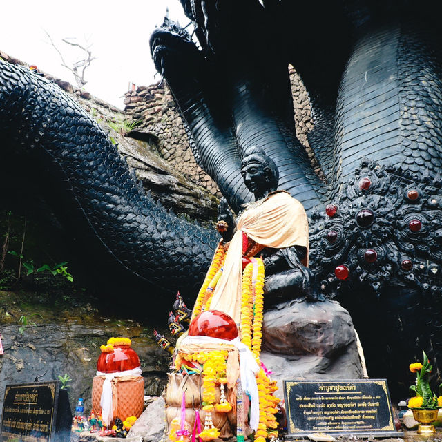 พญานาคราชองค์ดำ วัดป่าภูยอดรวย 