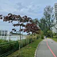 Punggol’s Coastal Charm: A Perfect Day Walk Along the Seaside and Promenade