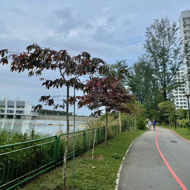 Punggol’s Coastal Charm: A Perfect Day Walk Along the Seaside and Promenade