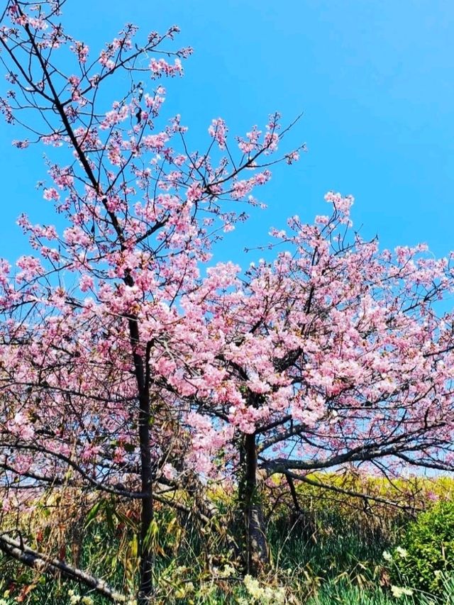 ■大角海浜公園