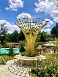 The Climate and Design @Betong Garden
