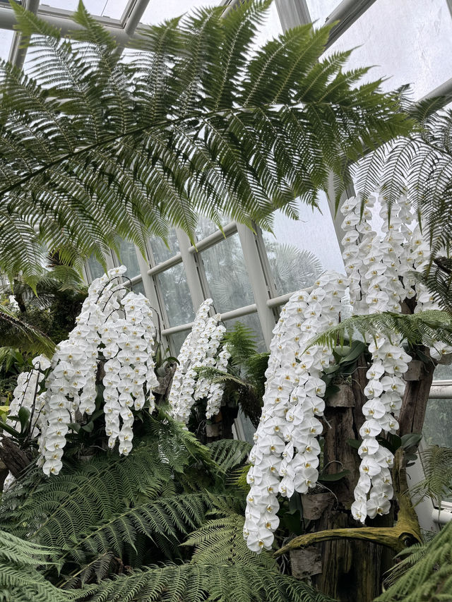 不一樣的路線 花園城市新加坡 慢遊攻略
