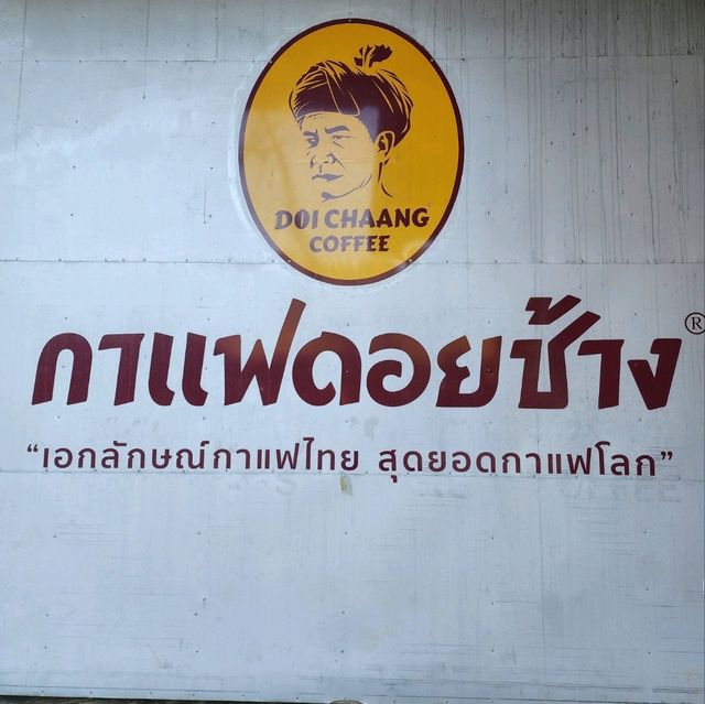 เที่ยวที่ผลิตกาแฟดอยช้าง - ดอยช้างคอฟฟี่ ออริจินอล
