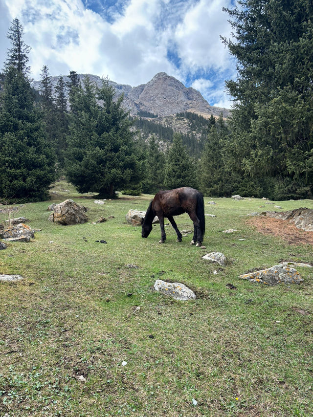 Picnic in Barskoon Gorge🥰