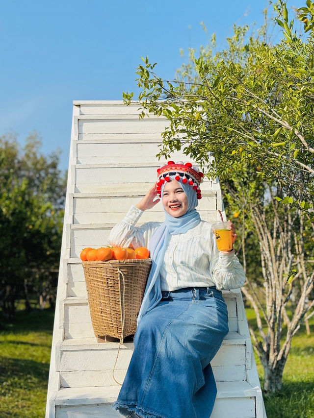 The orange cafe 🪴🍊 - แล้วแต่ปุ๊ คาเฟ่ จ.สตูล