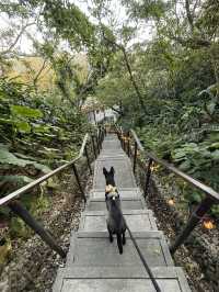 基隆和平島公園 禾口丘咖啡