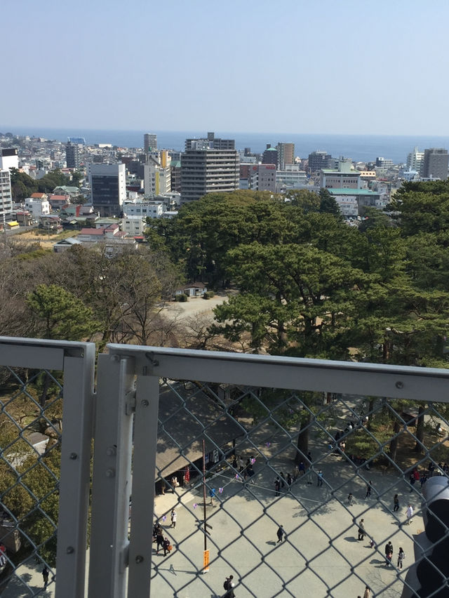 【神奈川・小田原】小田原城🏯