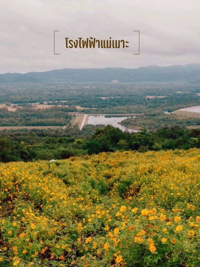 12 ที่เที่ยวเมืองรถม้า I นครลำปาง