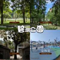碧湖公園：在“城市綠洲裡尋找孩子的歡笑” 🌊🌳