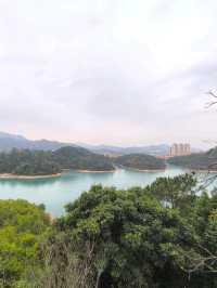 斗門金臺寺~值得一去的地方又可以居高臨下看湖景