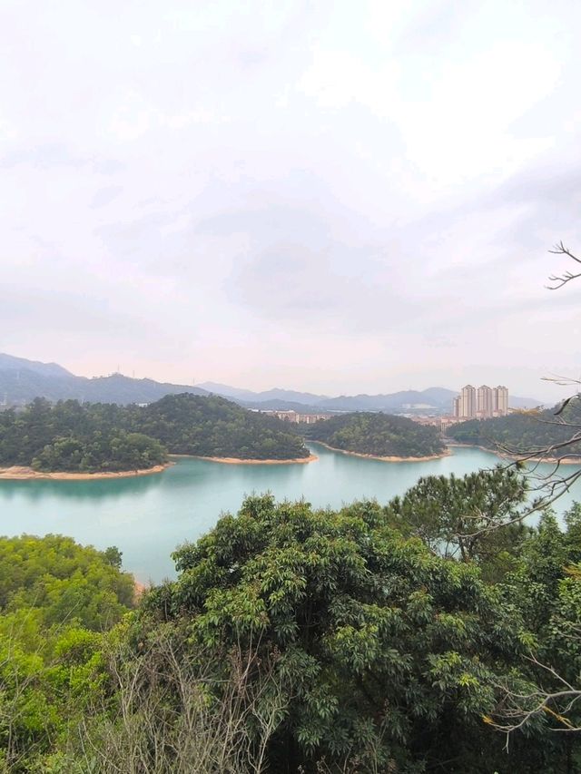 斗門金臺寺~值得一去的地方又可以居高臨下看湖景
