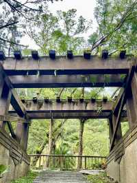 暢遊森林鐵道～林田山林業文化園區