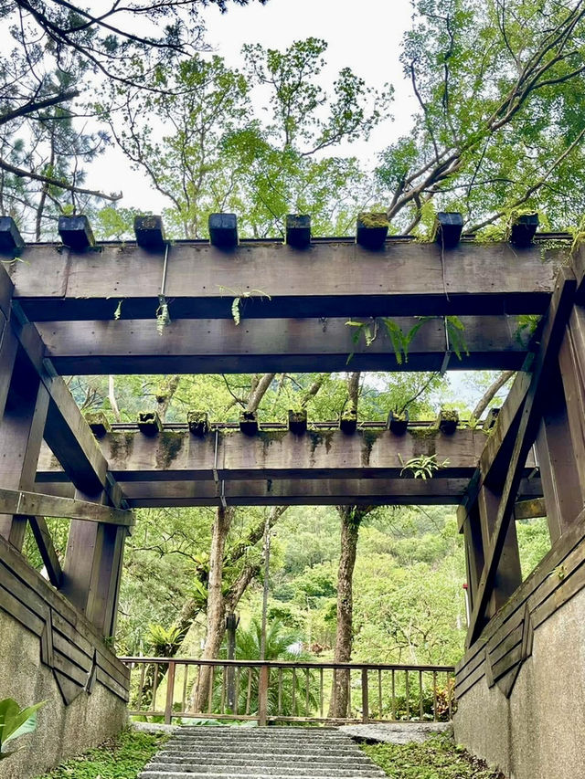 暢遊森林鐵道～林田山林業文化園區