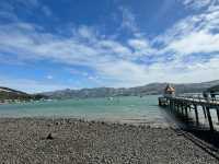紐西蘭🇳🇿一段充滿冒險的旅行