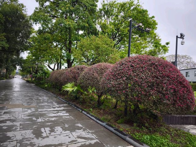 觀瀾版畫創業基地