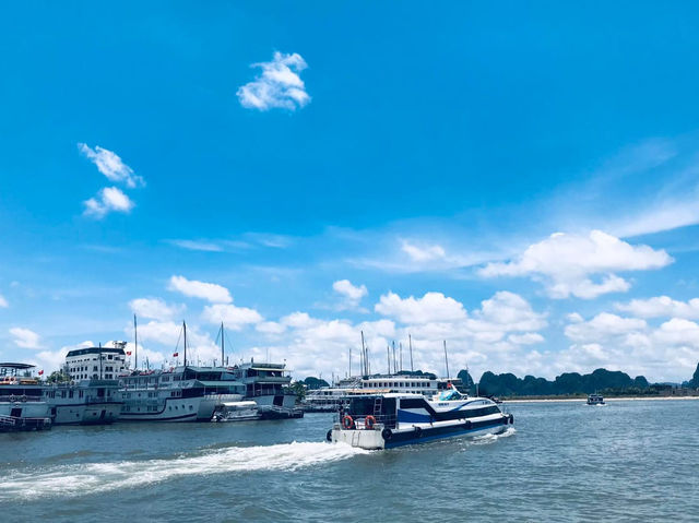 🚢🌊 下龍灣郵輪 2 天 1 夜 夢幻之旅 🌊🚢