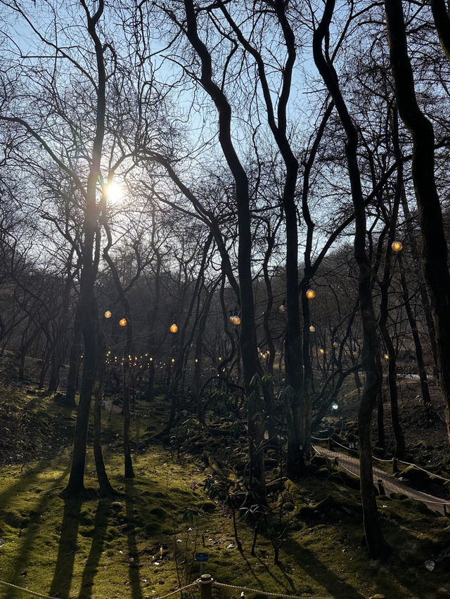 🏞️강원도 춘천 서울 근교  제이드가든 