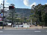 🇯🇵【香川県】広大な庭園！四季折々の花が楽しめる！栗林公園(^^)