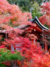 Kyoto - Bishamon-do temple