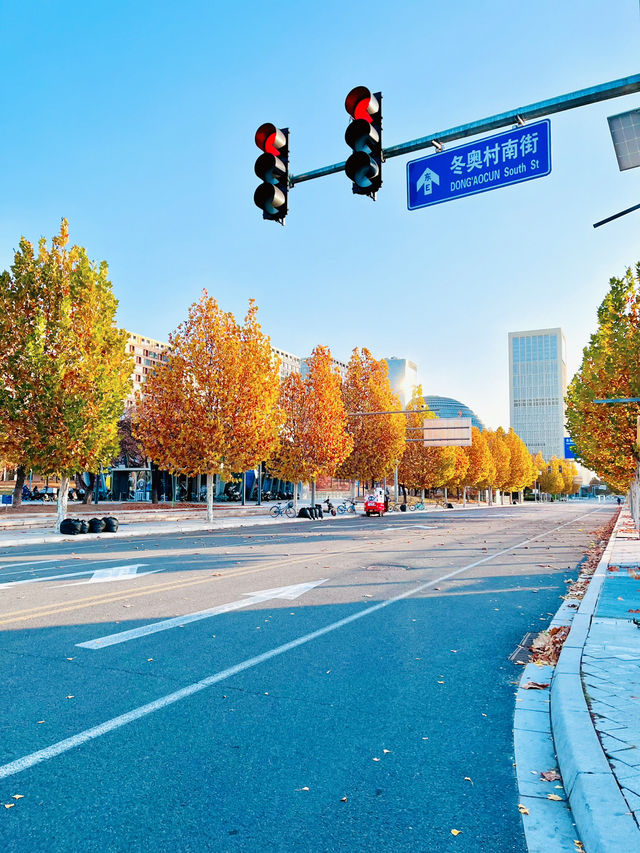 Stunning Autumn in Beijing Olympic Park