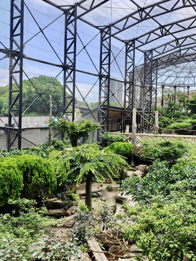 城市中的野性之歌——天王寺動物園漫步記