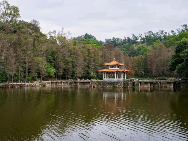 國家“AAAA”級風景區仙湖植物園一天遊