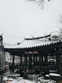 눈오는날 가고 싶은 경남 데이트 카페