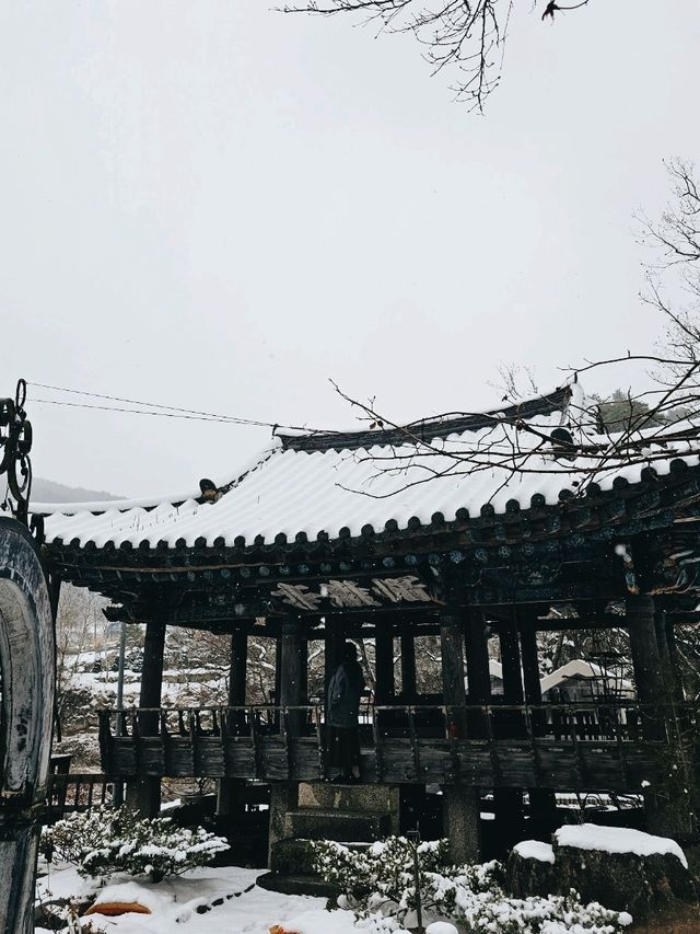 눈오는날 가고 싶은 경남 데이트 카페
