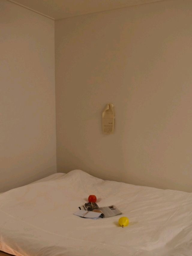 담양 속 리틀포레스트 추월산 힐링숙소 까망감스테이