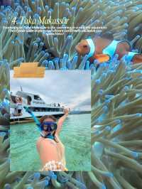 10 PLACES TO GO IN LABUAN BAJO 🇮🇩
