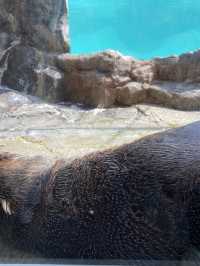 とても楽しい水族館