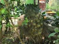 Must-visit places in Zoo Negara Malaysia