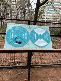 Kunming Zoo จุดชมดอกไม้บาน