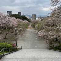 西公園